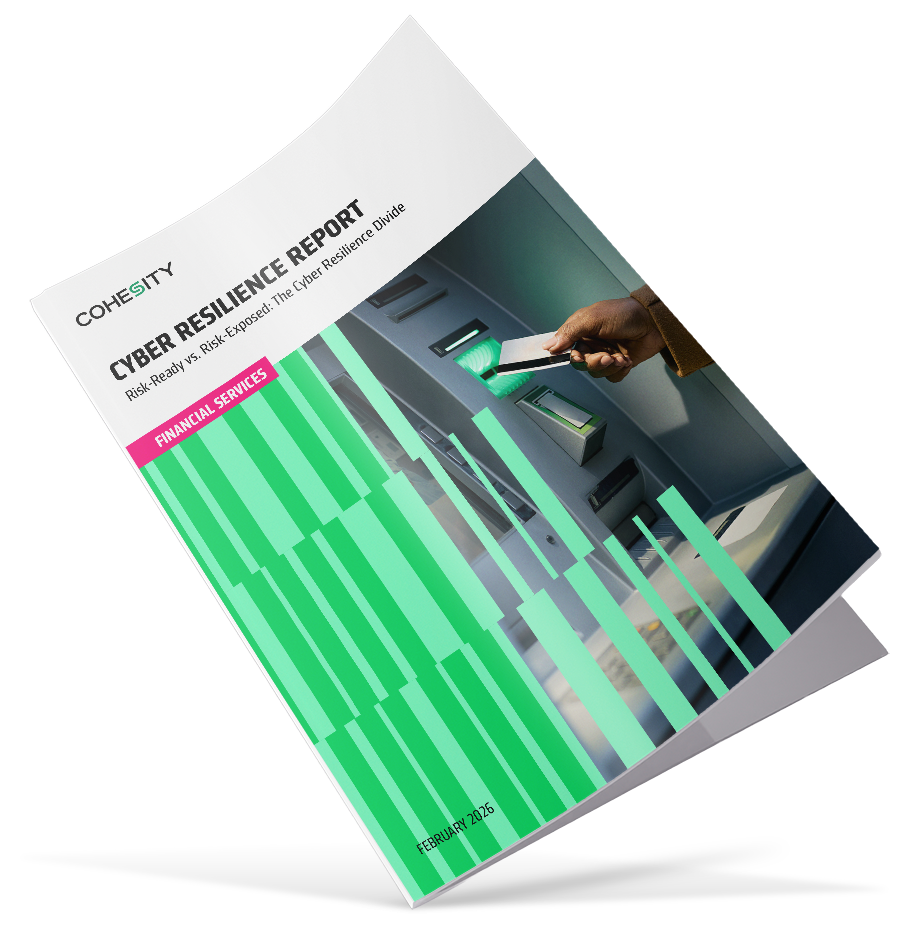 Cyber Resilience Divide in Financial Services Thumbnail